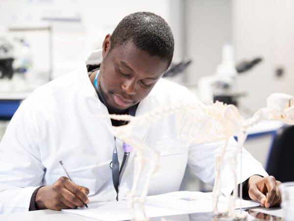Science student studying a skeleton