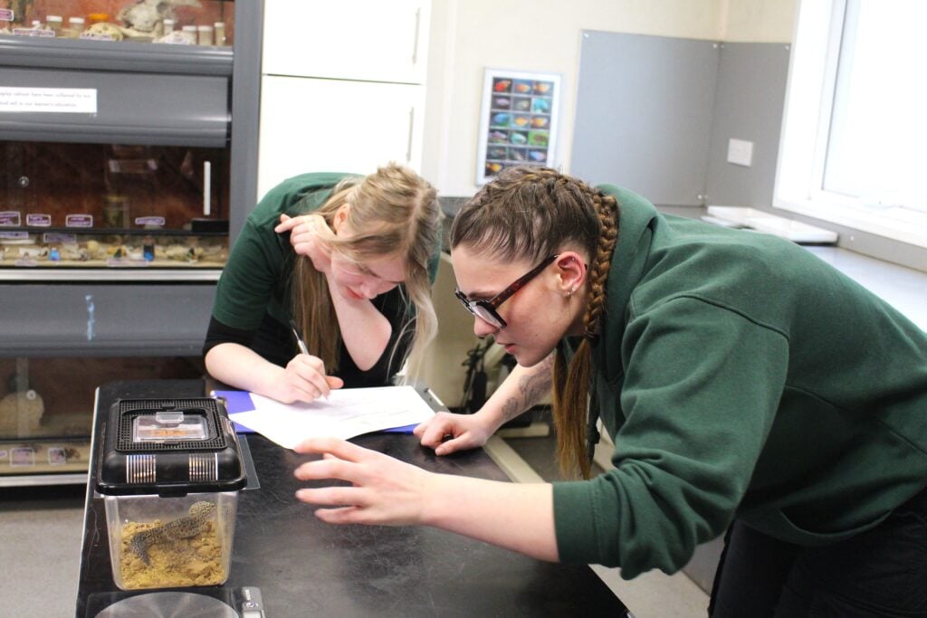 2 students looking at a mouse in a cage